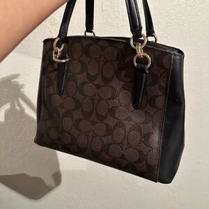 Brown Coach Bag